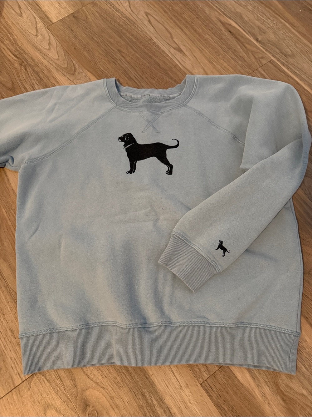 The Black Dog Light Blue Crewneck Sweatshirt